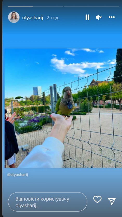 "Только он один, паскуда, знает": жена Шария отреагировала на его арест блатной песней (видео)