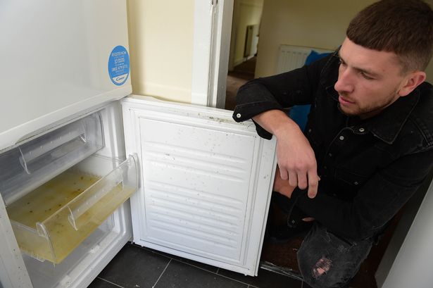 В холодильнике был старый подгузник: в Шотландии семью украинских беженцев поселили в грязнейший дом