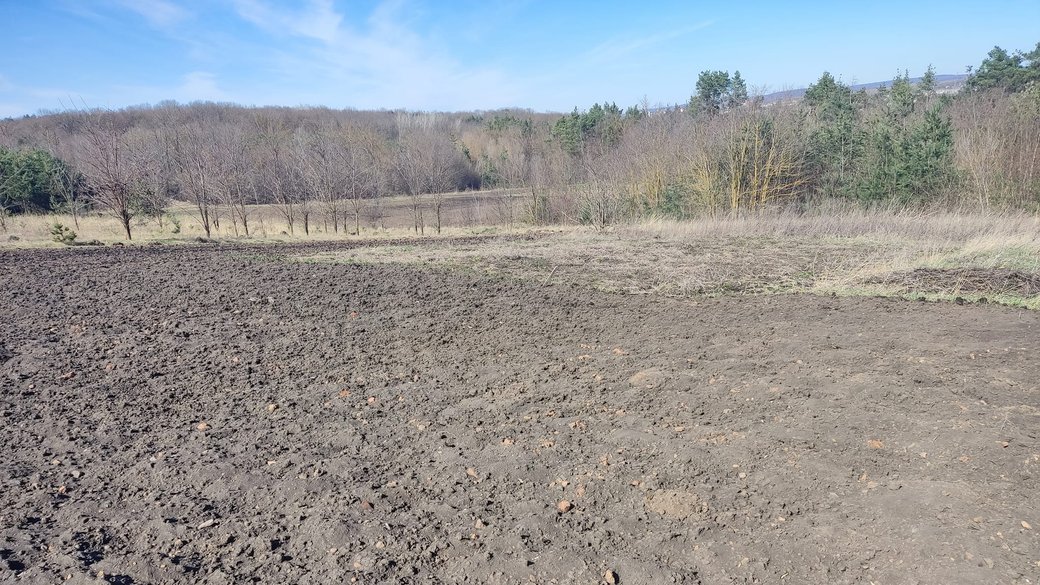 Под Тернополем случайно обнаружили древнее поселение трипольской культуры (фото)
