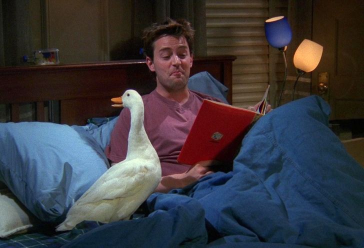 "Я розповідаю всім чужі секрети, тому люди люблять мене": 25 цитат Чендлера Бінга з "Друзів"