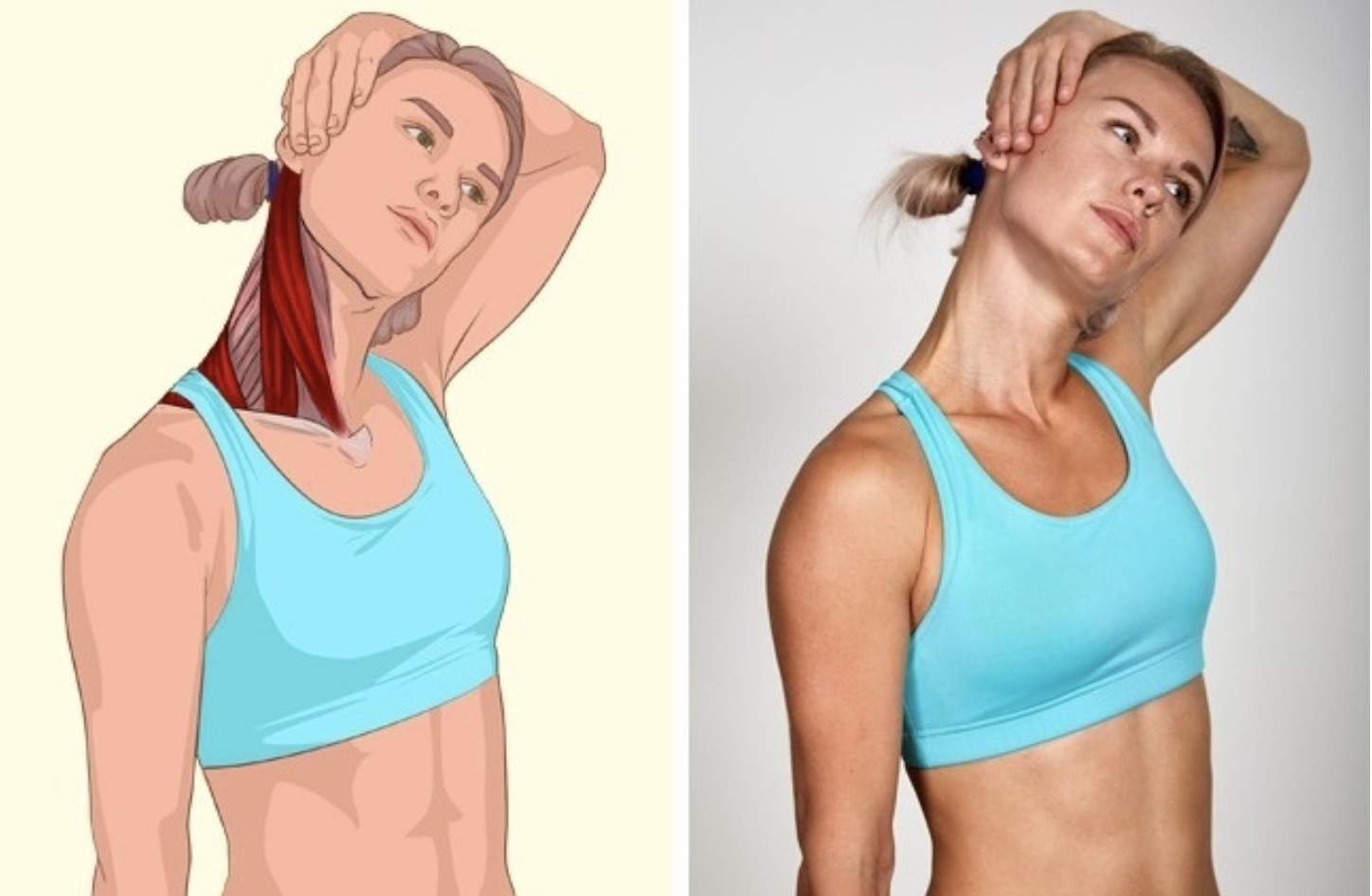 Как стать гибкой, как кошка. 5 простых упражнений для растяжки