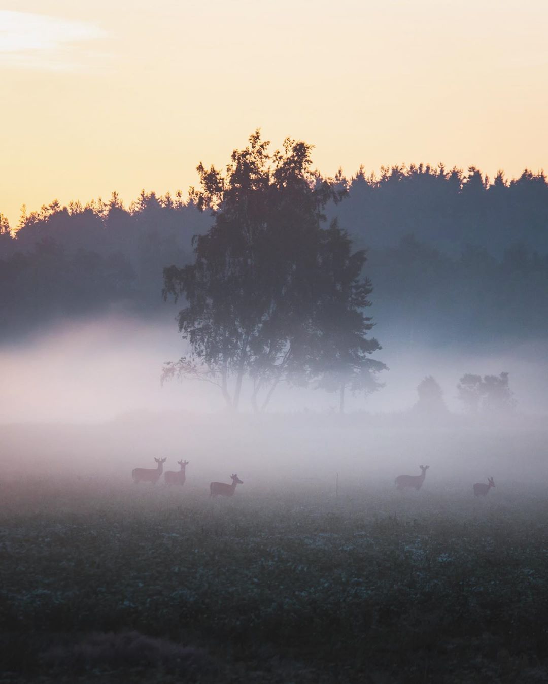 Показали, як виглядає найказковіше місце на Землі: фото, від яких перехоплює дух