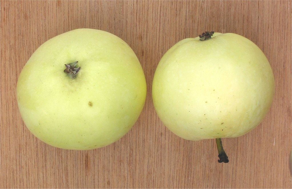 5 найкращих сортів яблук, які варто святити на Яблучний Спас