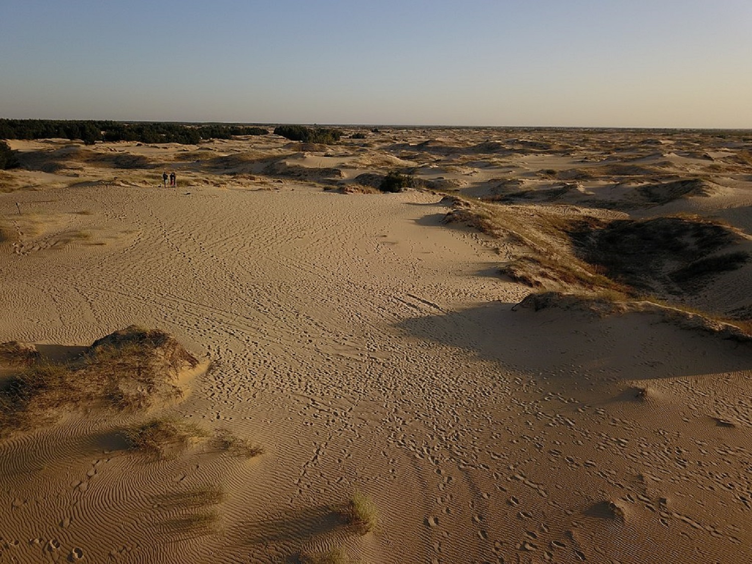 5 необычных природных явлений, которые можно увидеть только в Украине