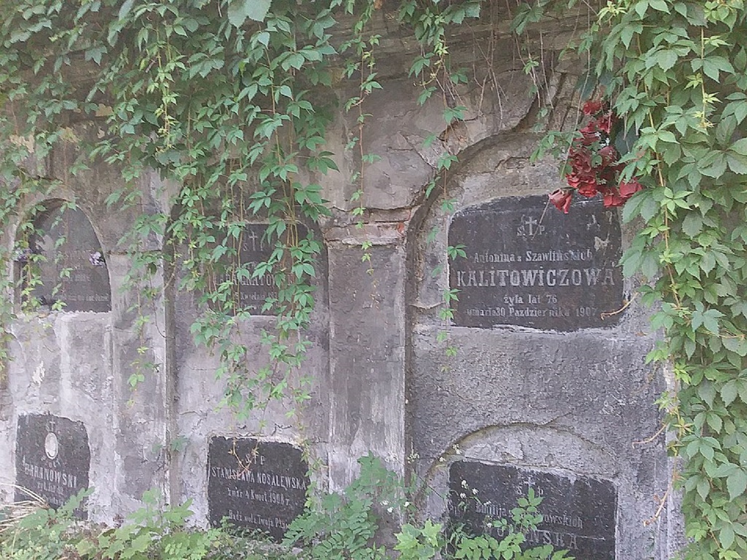 Відвідуємо світ мертвих. 5 найцікавіших кладовищ України