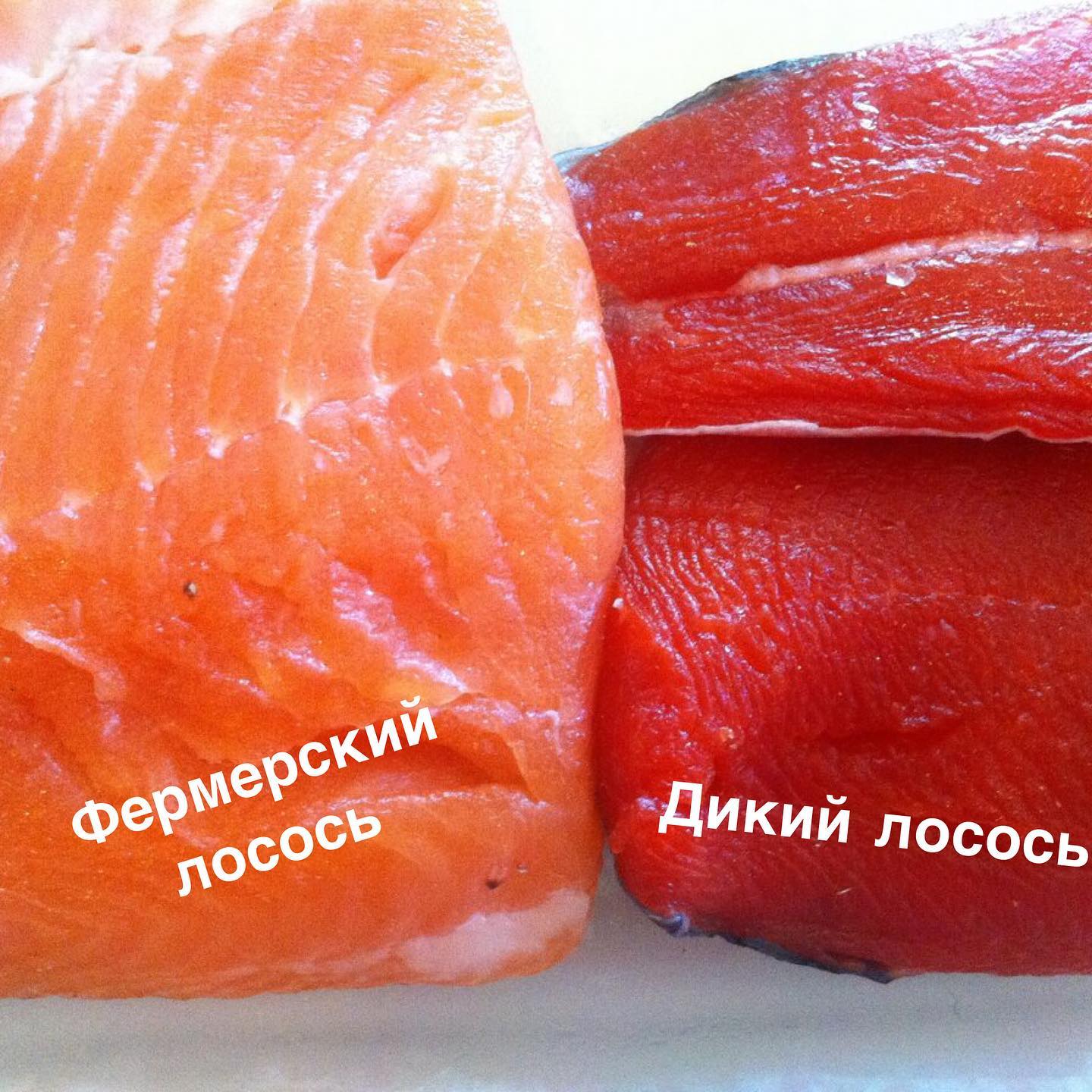 Какая рыба опасна: эта информация сохранит вам здоровье