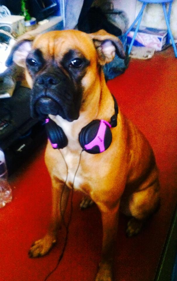 Умер известный музыкант, экс-участник группы "Вопли Видоплясова"