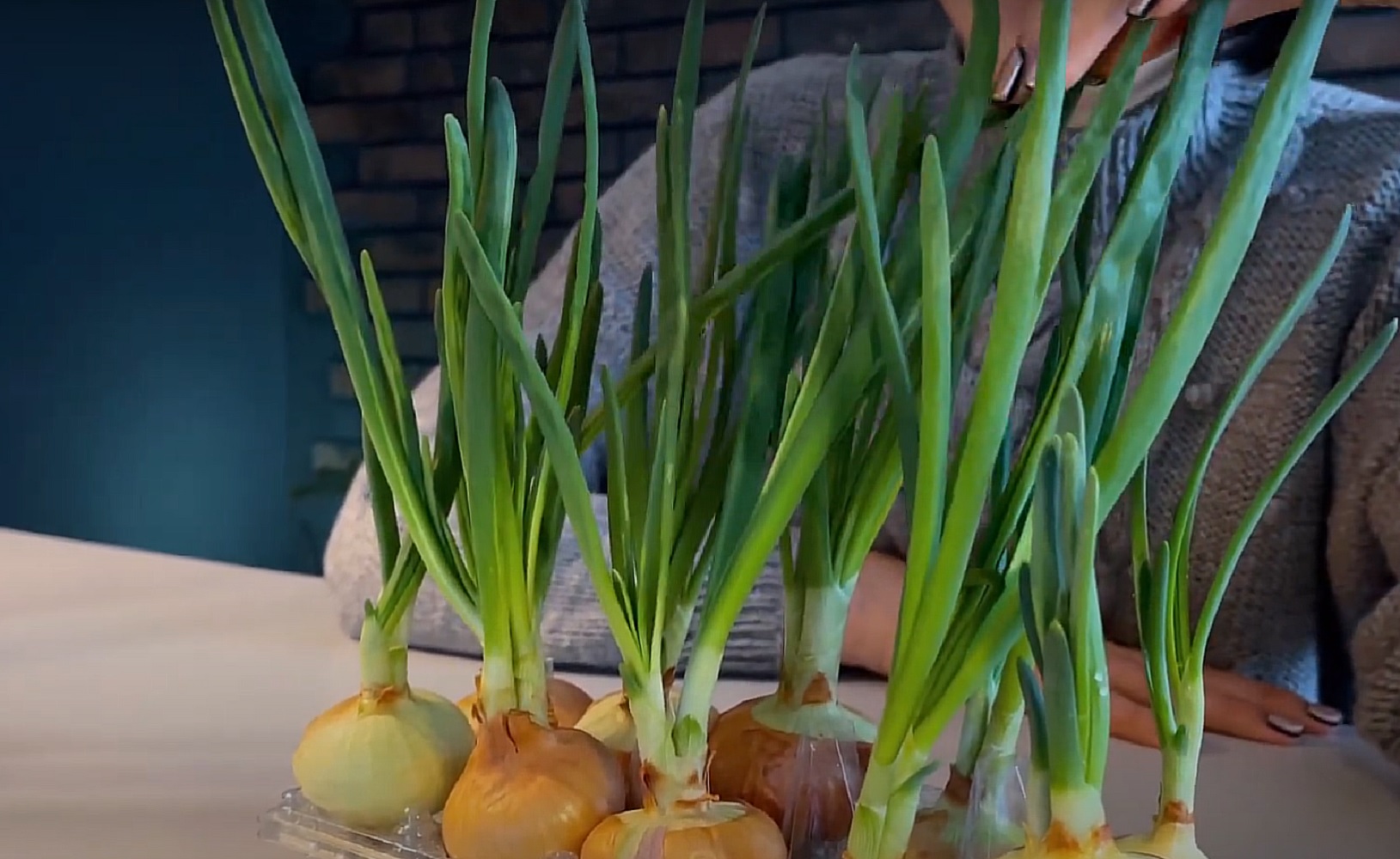 Впорається навіть дитина. Як швидко та легко виростити зелену цибулю на підвіконні