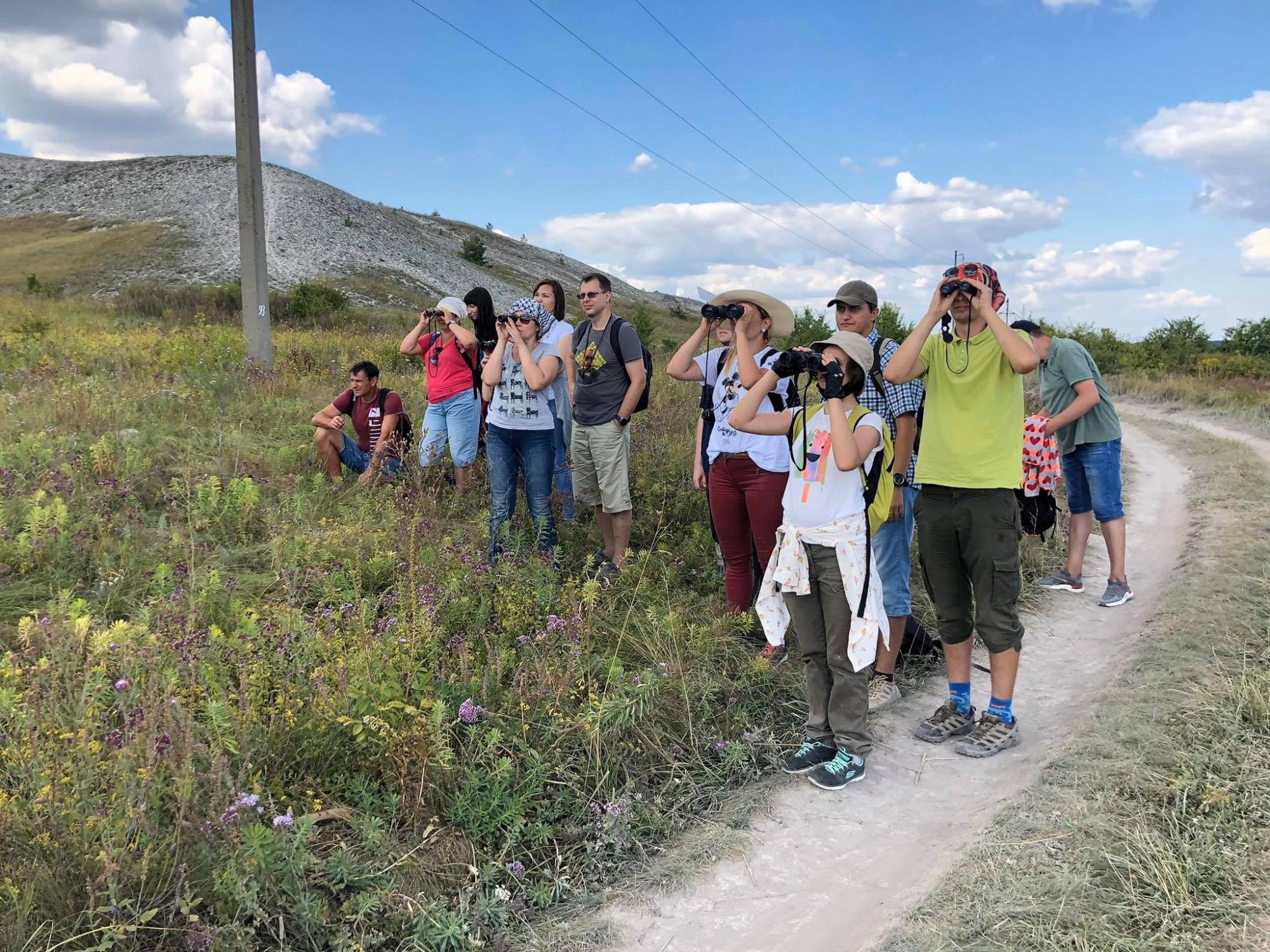 Целебные прогулки. Что такое лесная терапия и в чем ее польза: разговор с ученым