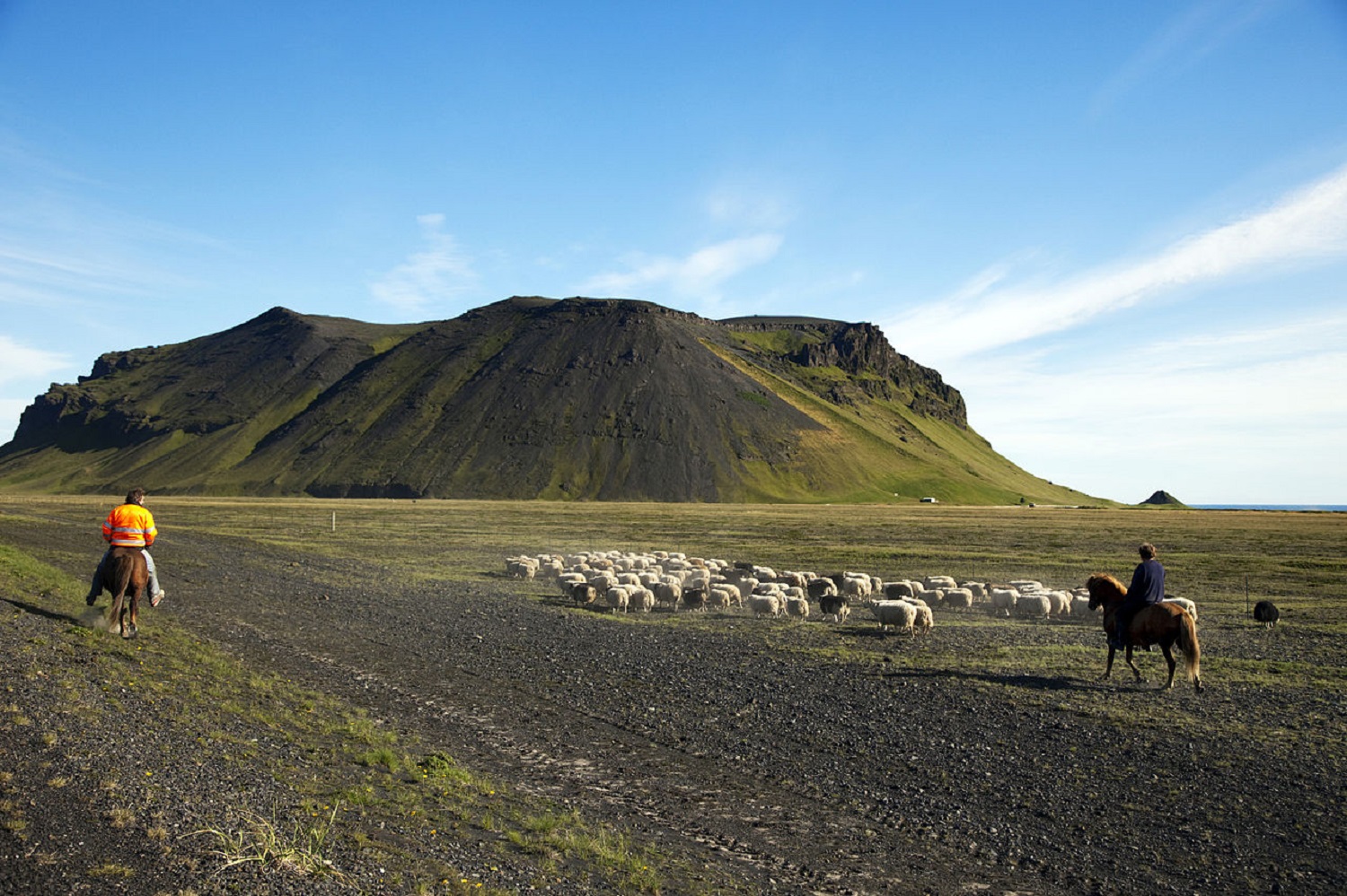 8 фактів про Ісландію, які роблять її найдивнішою країною Європи