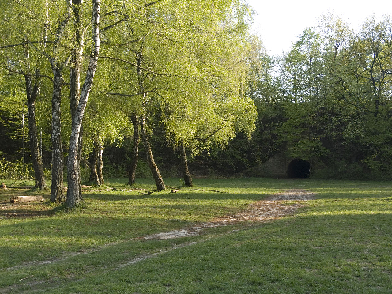 8 загадкових місць в Україні для любителів містики