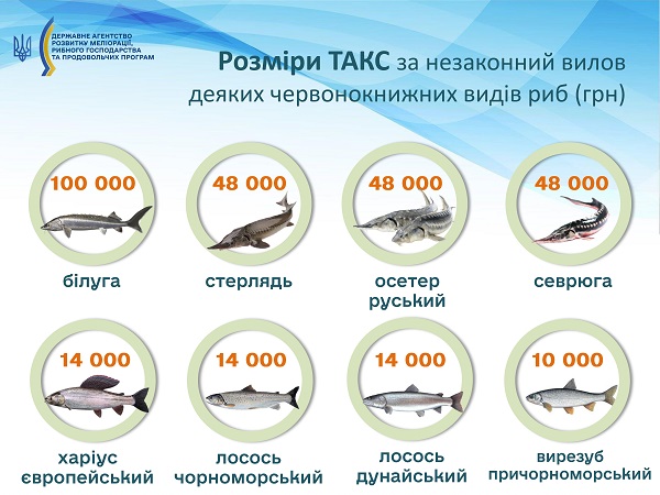 Яку рибу можна ловити в травні, а яку - категорично заборонено