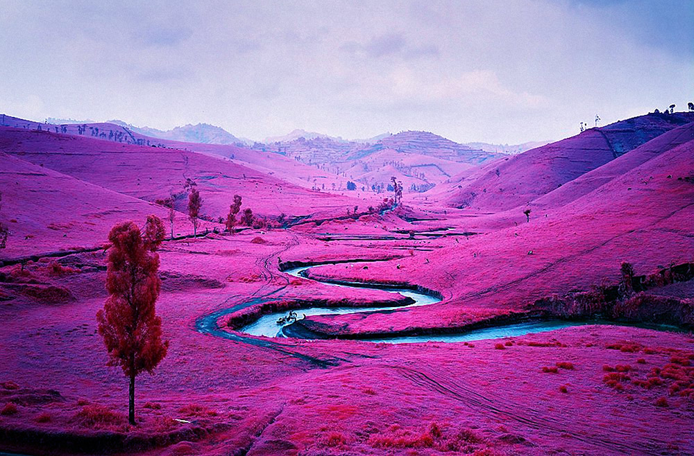 Блаватный, цинамоновый и брунатный: названия цветов на украинском, о которых вы не знали