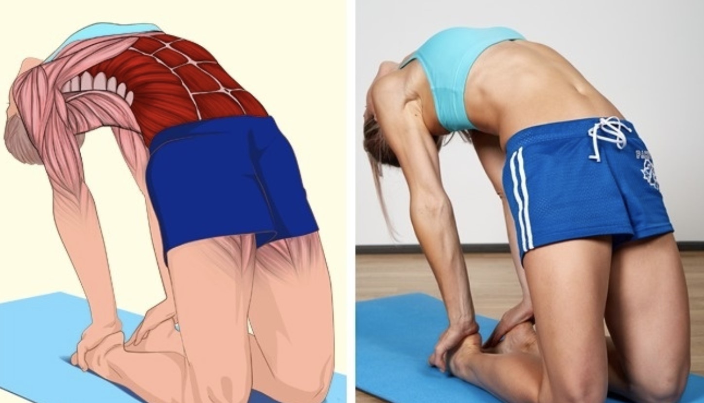 Как стать гибкой, как кошка. 5 простых упражнений для растяжки