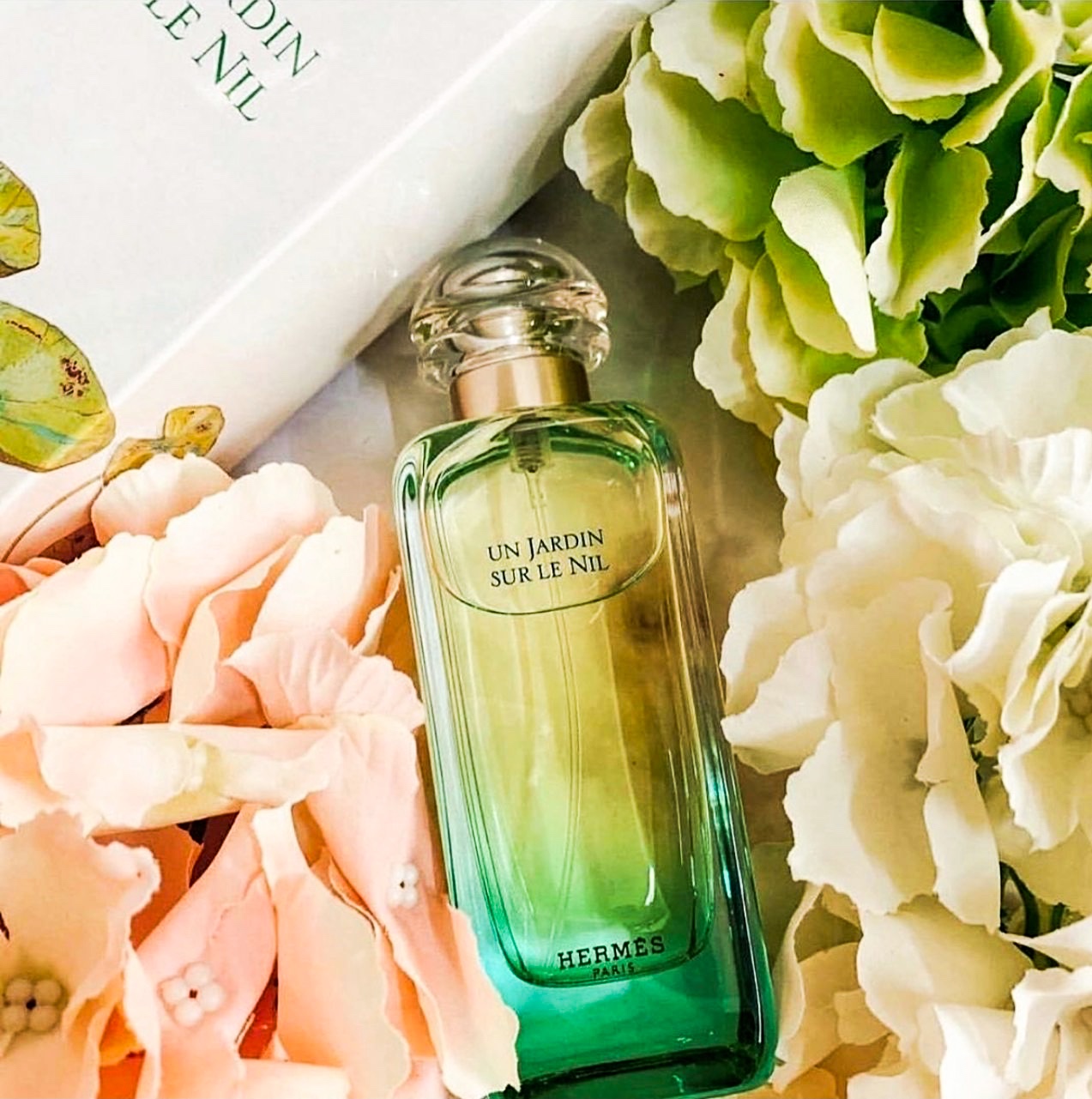 Від ніжної класики до зухвалої ніші: 10 жіночих парфумів на весну, які зведуть усіх з розуму