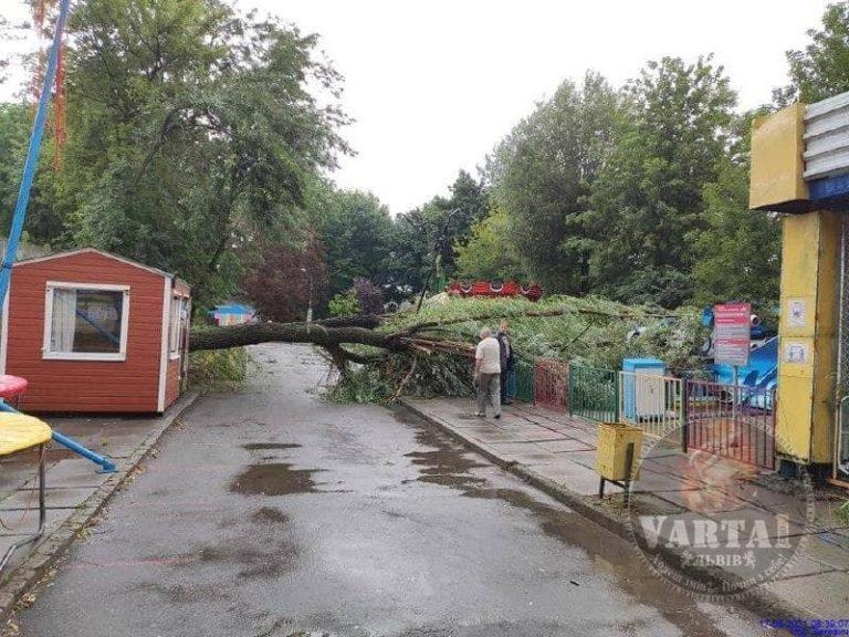 Львов снова накрыло ураганом: поваленные деревья и отключена электрика