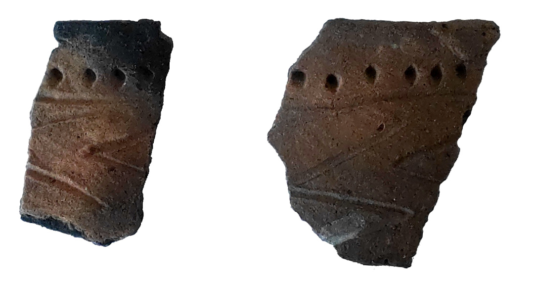 Под Полтавой нашли скифские артефакты и жилье эпохи бронзы, которому 3300 лет (фото)