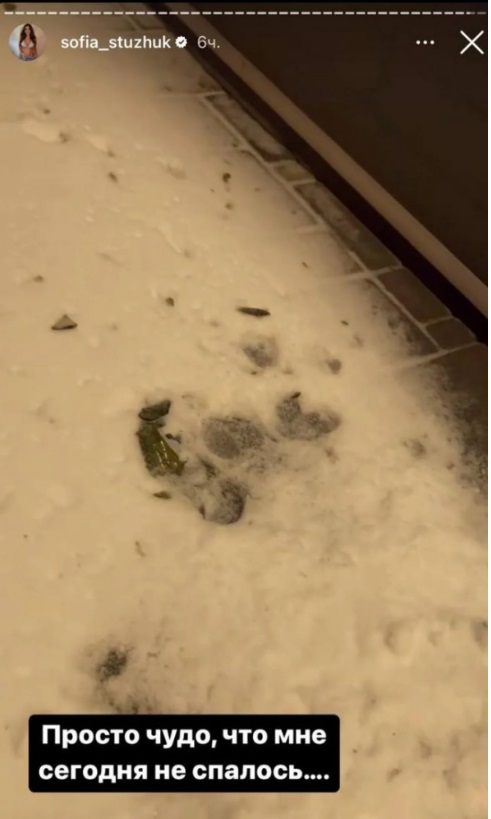 Блогерці Стужук, що зрадила Україну, підпалили будинок: закидали коктейлями Молотова