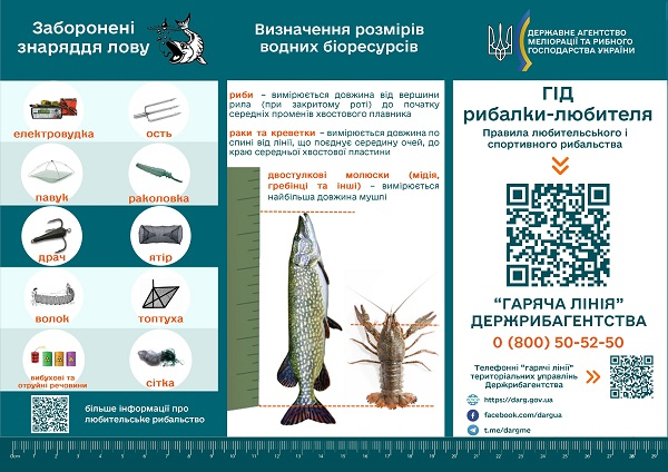 Можна серйозно влетіти в копійку. Українцям нагадали про поширені зимові штрафи