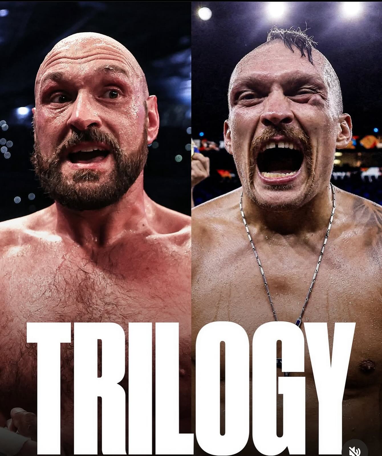 Ф'юрі викликав Усика на трилогію: де і коли має відбутися бій