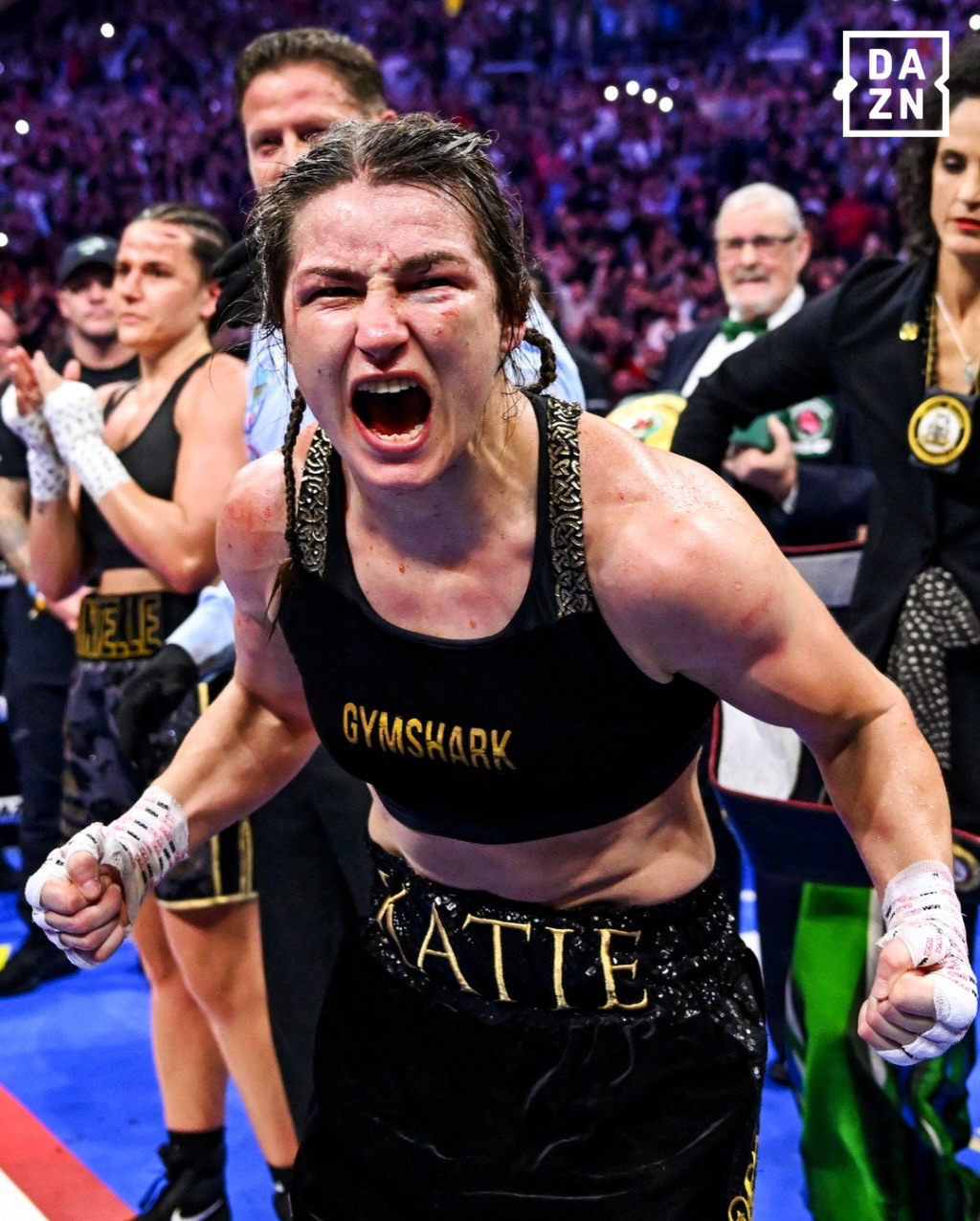 Усик получил еще один титул