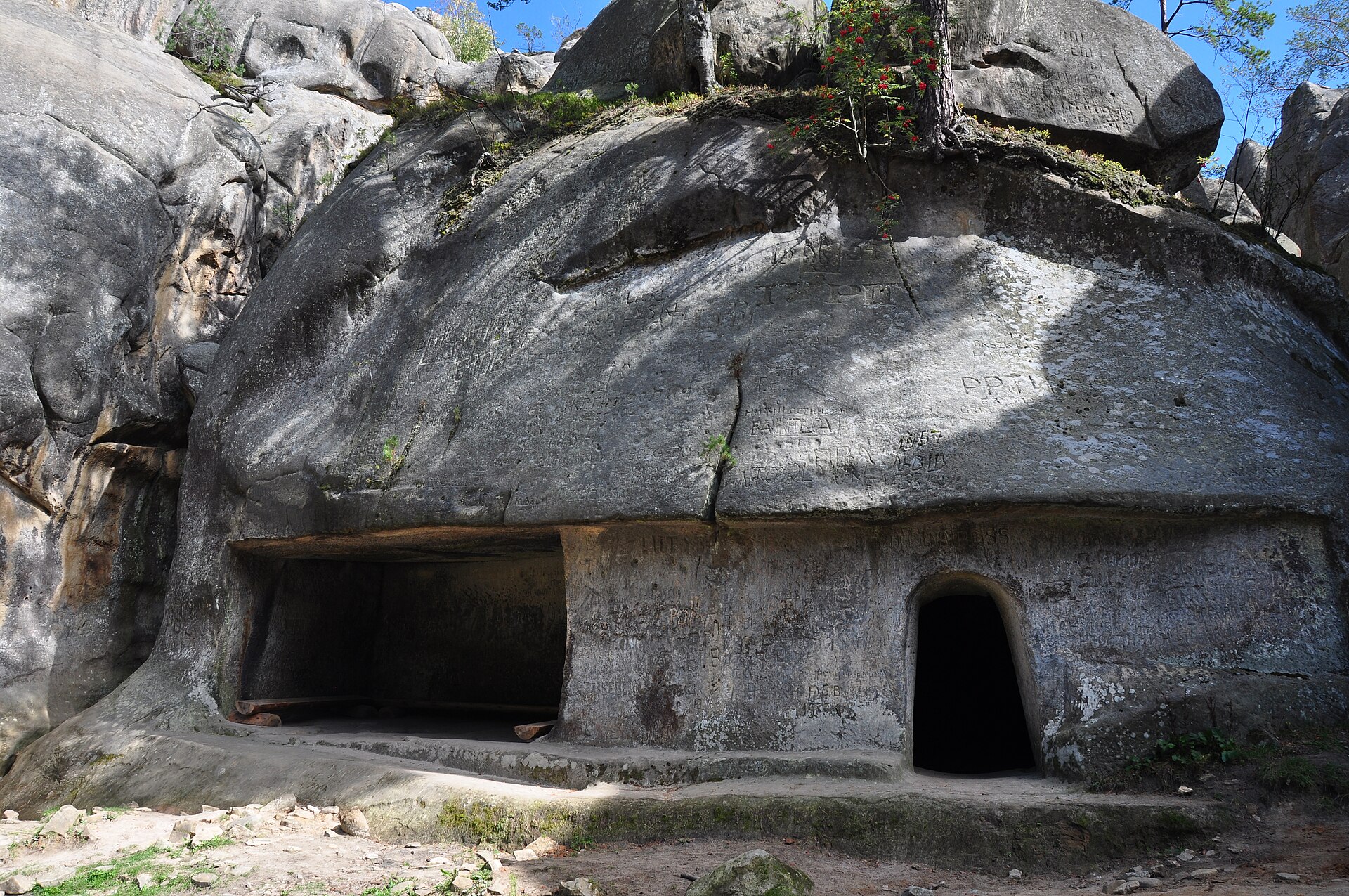Термальные воды и фиолетовые поля: куда в марте сбежать в Украине, чтобы перезагрузиться