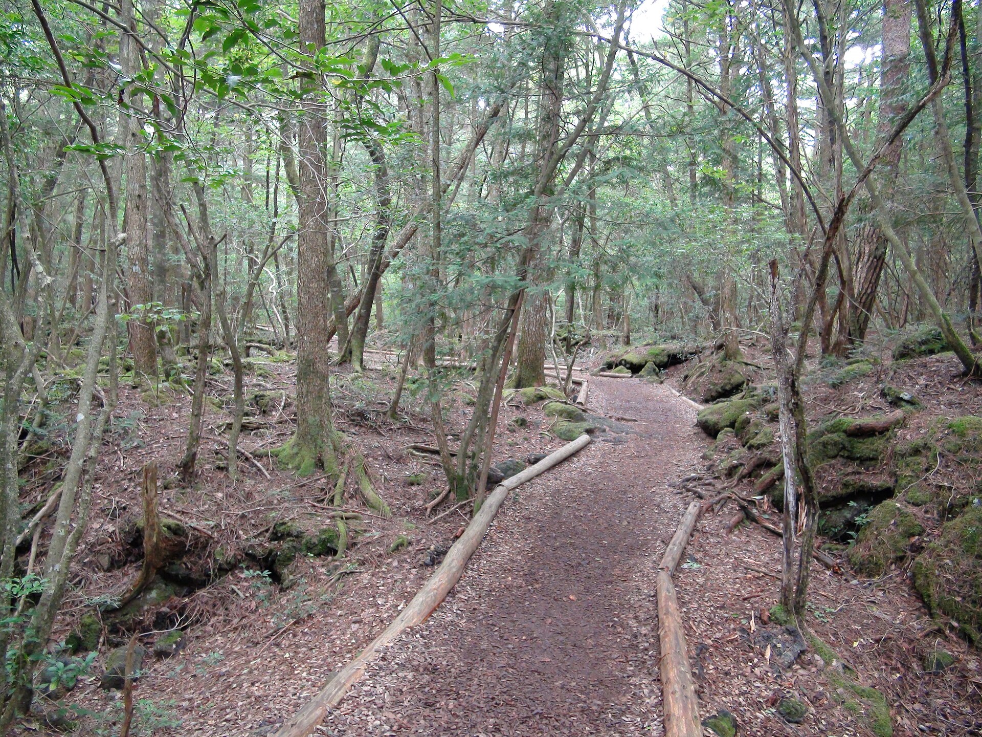 Призраки или реальная опасность? 10 локаций мира, которые закрыли для туристов навсегда