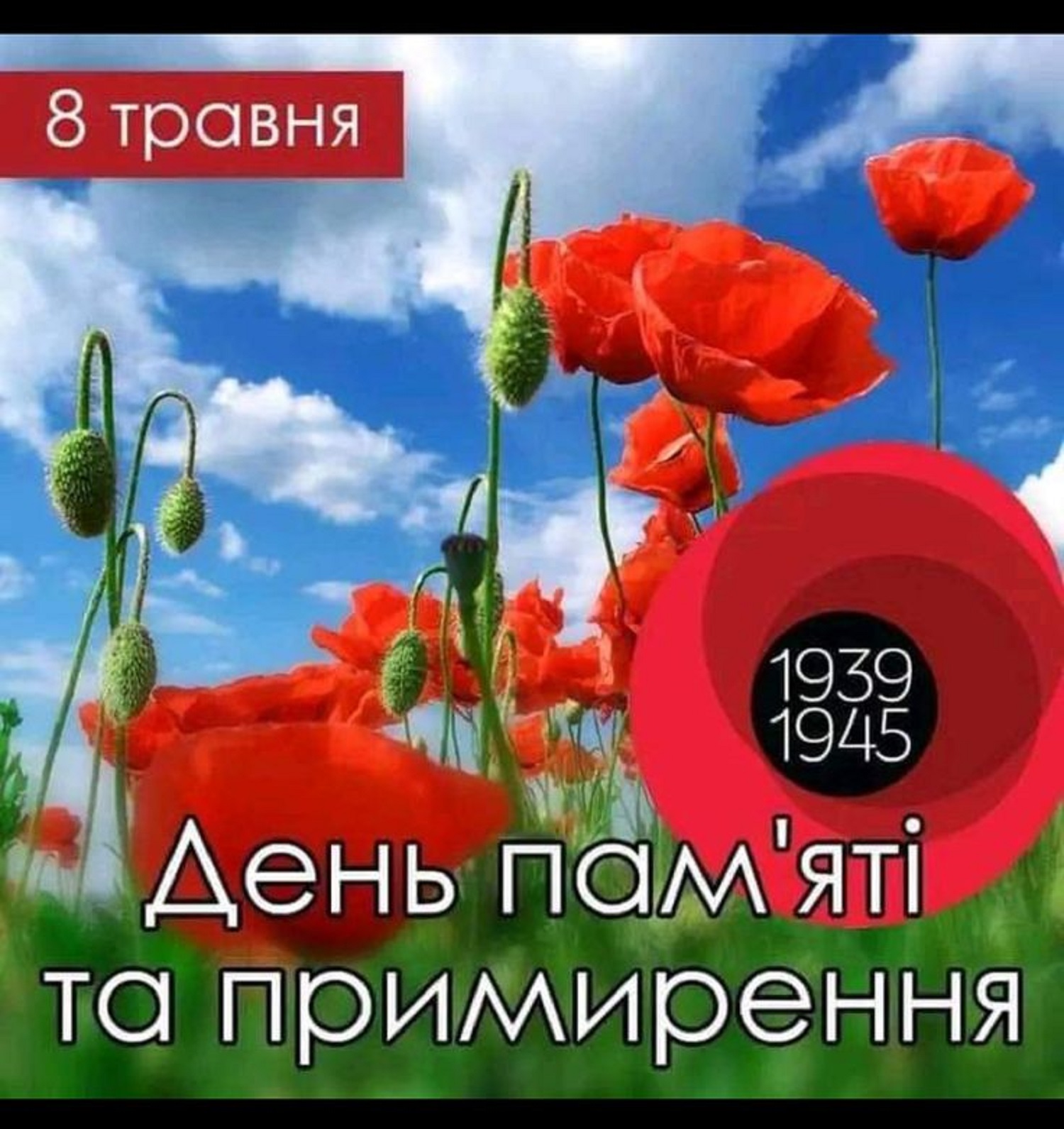 З Днем пам'яті та примирення: теплі привітання своїми словами та у листівках