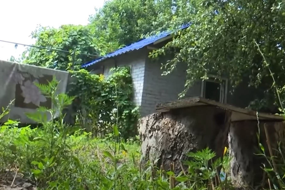 В сети показали дом мамы Андрея Данилко, где она жила долгие годы