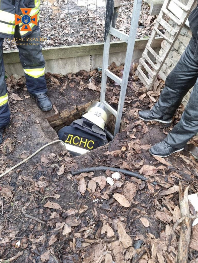 Злякався російських обстрілів: під Києвом рятували собаку, який впав у каналізацію