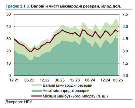 Україна цього року може накопичити рекордні запаси валюти, - НБУ
