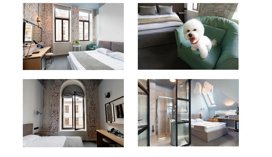 Ribas Rooms Ferenc Lviv: новый этап истории в центре Львова