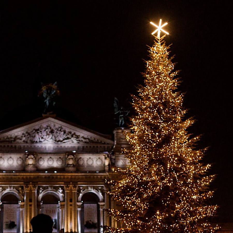 Вместо верхушки противотанковый еж. Во Львове уже засияла главная елка города (фото)