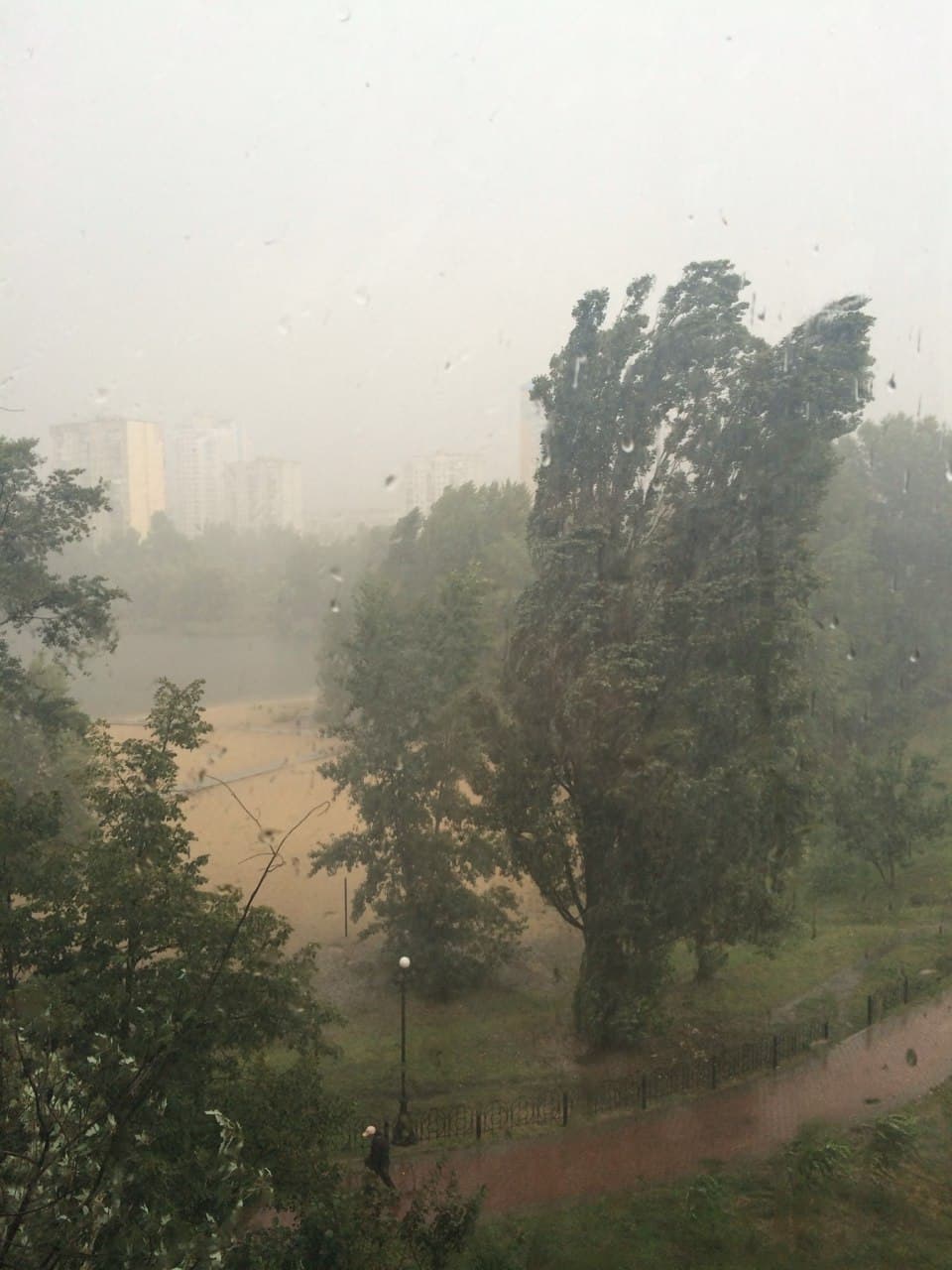 Ливень с градом и вырванные деревья: в Киеве разгулялась непогода (видео и фото)