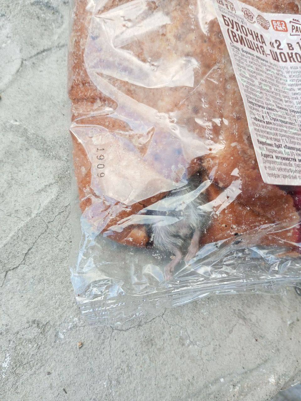 Під Дніпром покупець булочки виявив у ній живу мишу (фото)