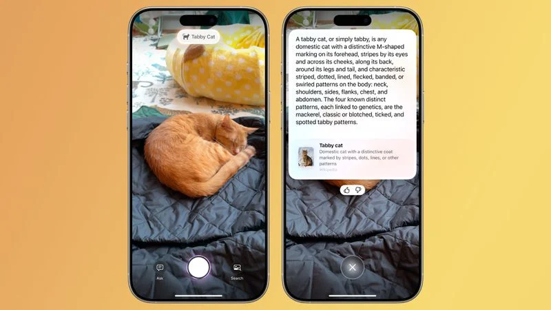 Apple выпустила обновление iOS 18.3: какие изменения ждут пользователей