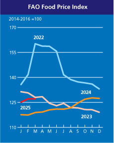 Світові ціни на масло та олію б'ють рекорди: в ООН назвали причини