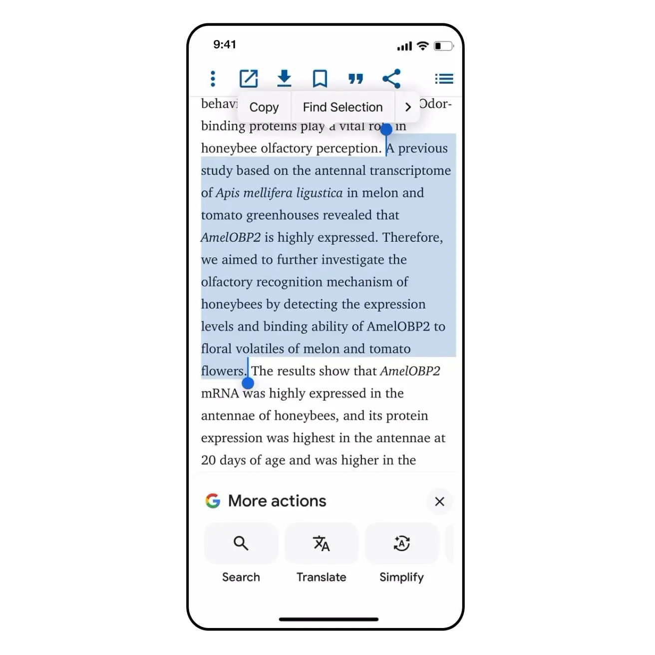 Google додала в iPhone функцію, яка допомагає зрозуміти складні тексти