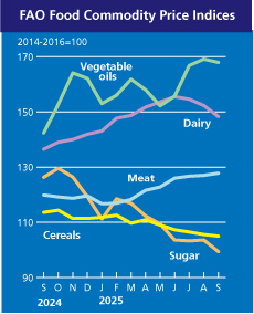 В ООН зафіксували рекорд ціни на базовий продовольчий продукт