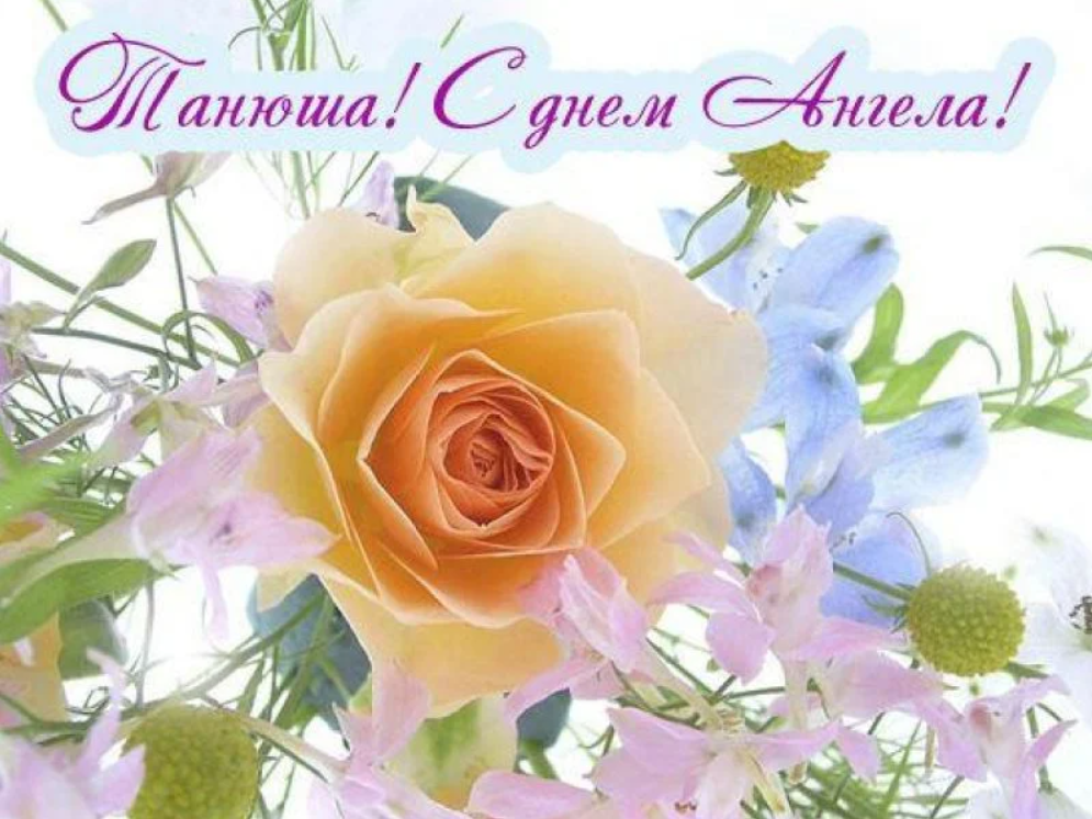 Сегодня - Татьянин день: поздравления в красивых открытках и милых стихах