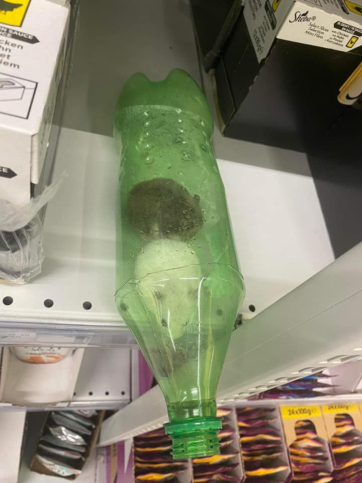 В киевском супермаркете на полке с кошачьим кормом обнаружили хомяков в бутылке (видео)