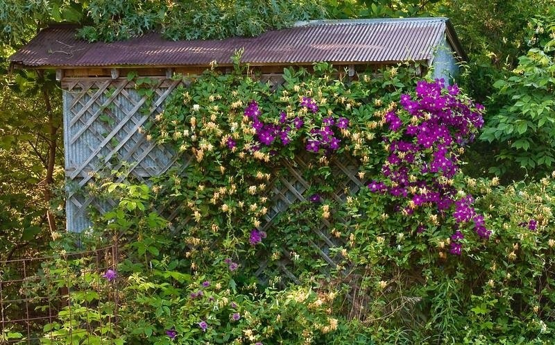 Яке свято 15 червня, що не можна робити і кого треба привітати з іменинами