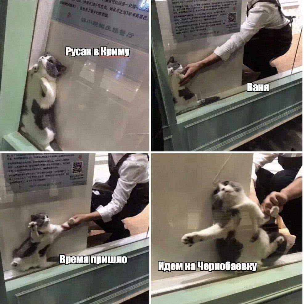 Дивіться яскраві меми, як Чорнобаївка стала Днем бабака для окупантів