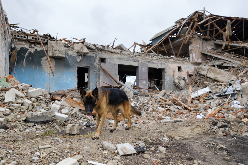 "Окупанти ховались за нашими спинами": репортаж зі звільнених Балаклії та Ізюма