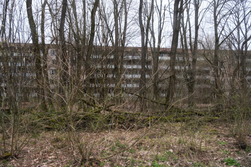 Закрито назавжди? Який вигляд має Прип'ять після аварії на ЧАЕС і чи повернеться туди життя