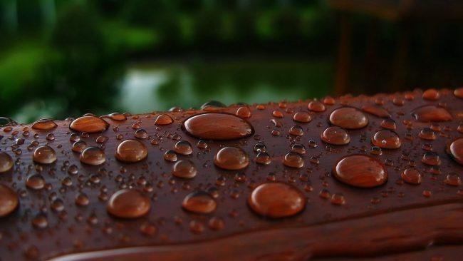 Блаватный, цинамоновый и брунатный: названия цветов на украинском, о которых вы не знали