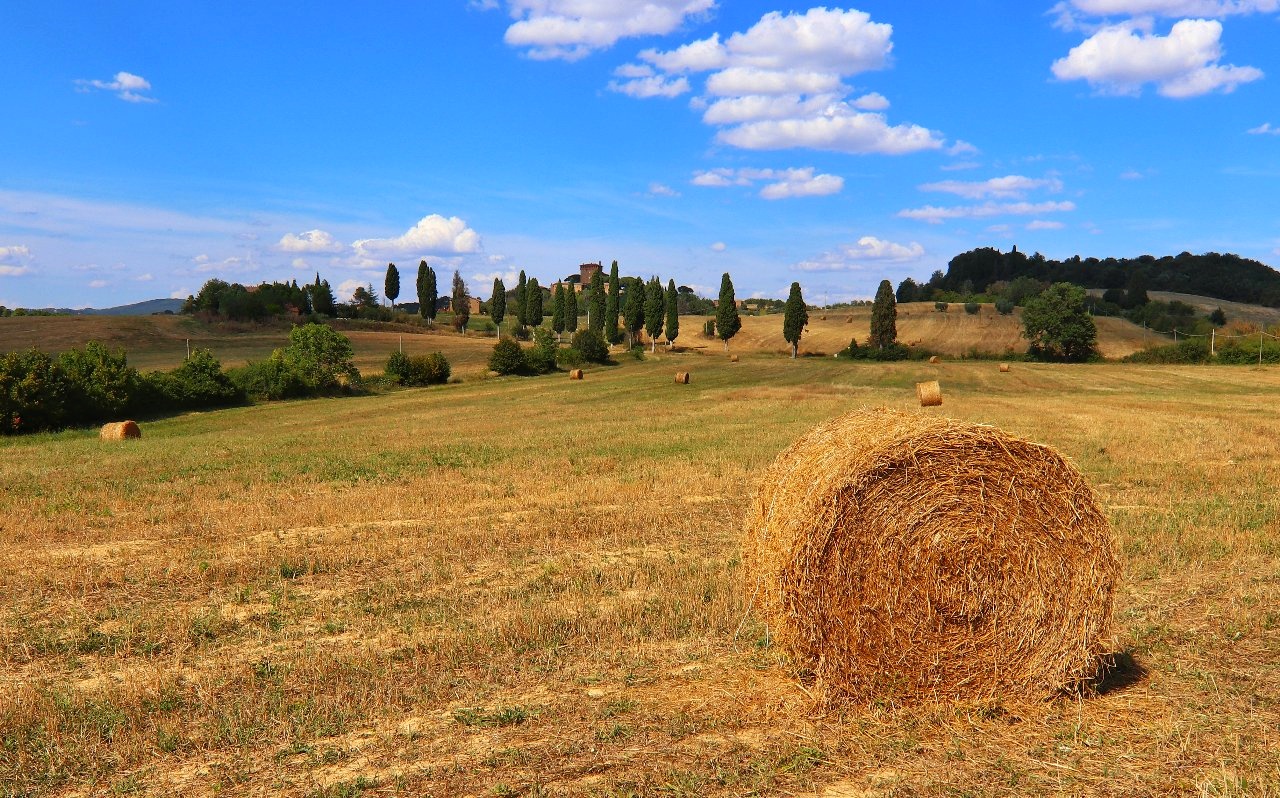 Італія заплатить 30 тис. євро тим, хто переїде жити у мальовничі села Тоскани: що для цього треба