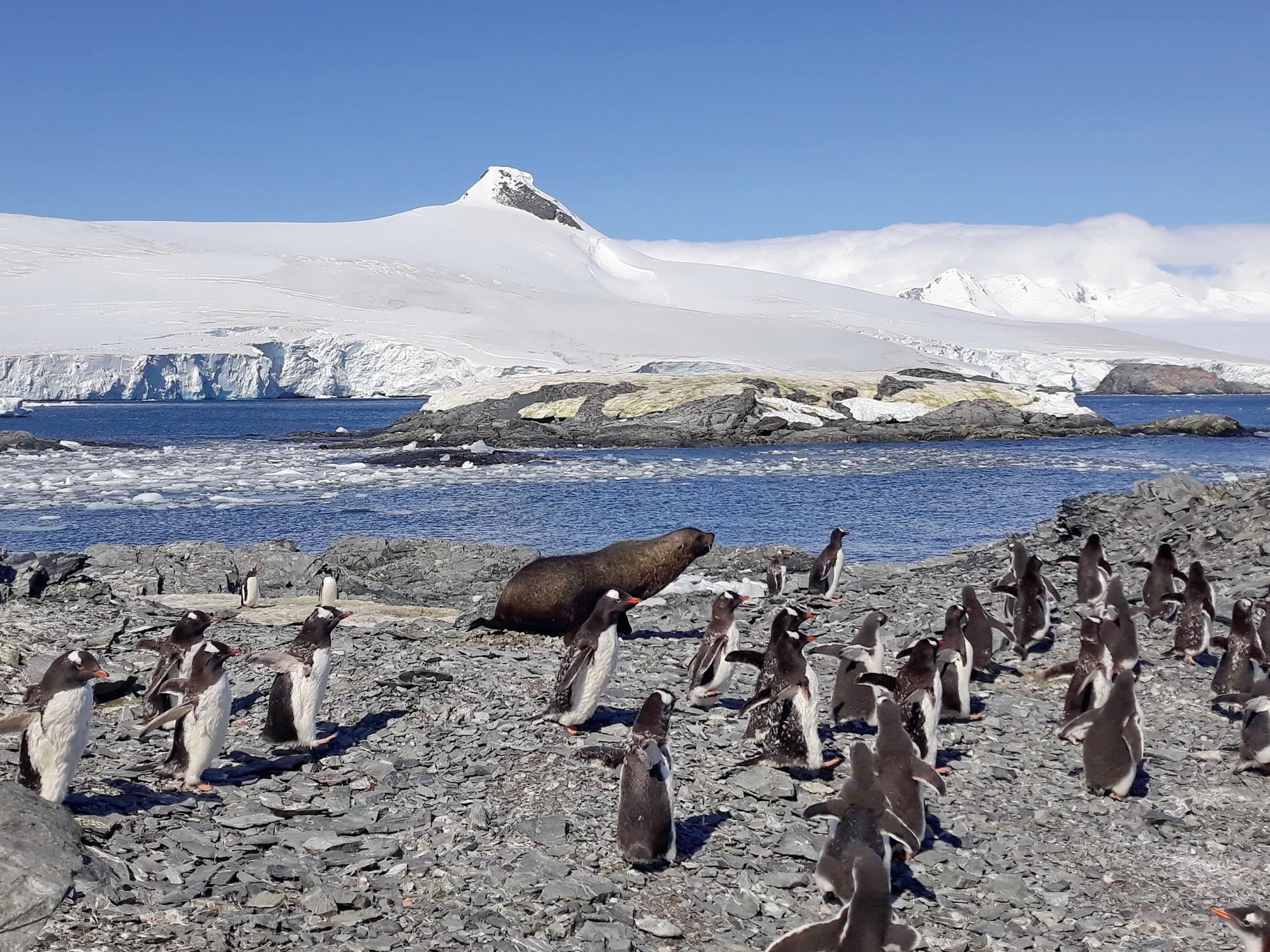 Полярник Богдан Гаврилюк: Холод - единственное, к чему не может привыкнуть человек