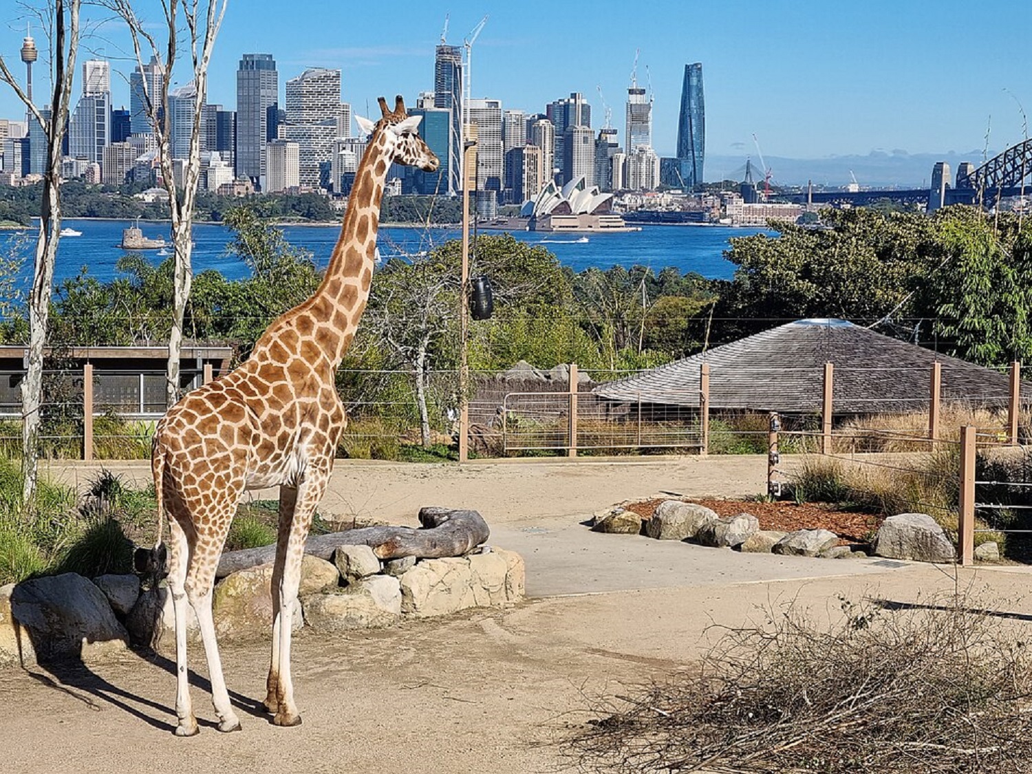 Топ-5 найбільших зоопарків, які здивують своїми мешканцями