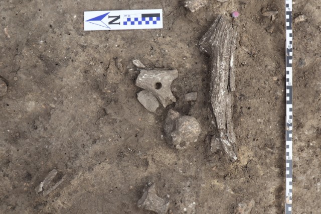 Під Вінницею виявили кургани та поселення енеоліту, епохи бронзи та залізного віку (фото)